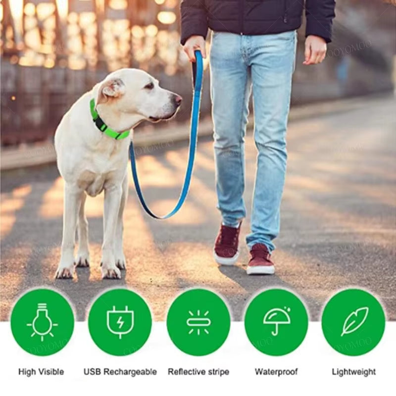 GlowSafe™ 3-in-1 LED USB Rechargeable Pet Collar – Adjustable Night Safety Collar for Dogs & Cats