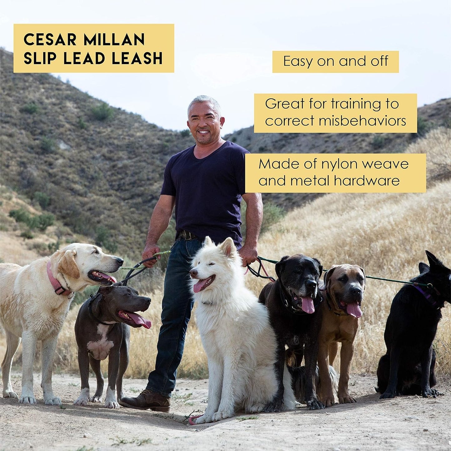 Slip Lead Leash™ - Slip Collar Training Lead Gives You Greater Control and the Ability to Make Quick and Gentle Corrections (Regular, Black)