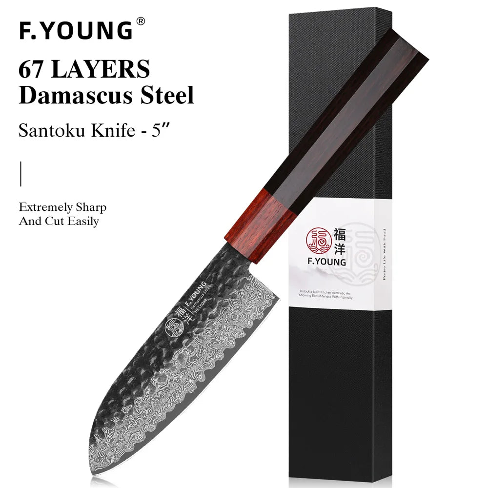 F.YOUNG Japanese Damascus Steel Chef Knife - Professional Hand-Forged Kitchen Knife for Meat Slicing, Sashimi & Precision Cutting
