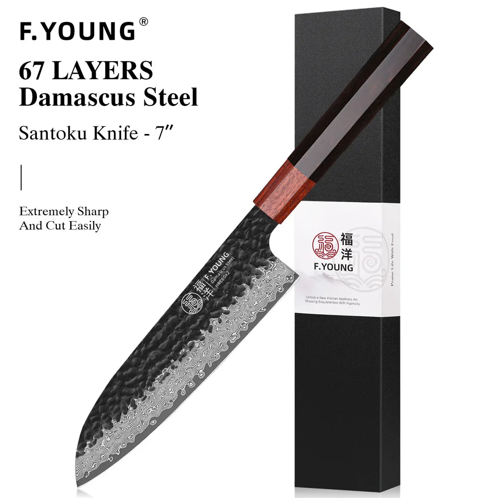 F.YOUNG Japanese Damascus Steel Chef Knife - Professional Hand-Forged Kitchen Knife for Meat Slicing, Sashimi & Precision Cutting