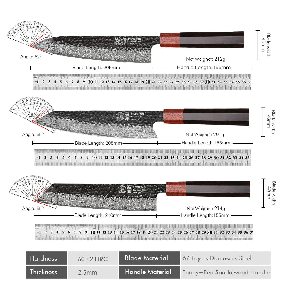 F.YOUNG Japanese Damascus Steel Chef Knife - Professional Hand-Forged Kitchen Knife for Meat Slicing, Sashimi & Precision Cutting